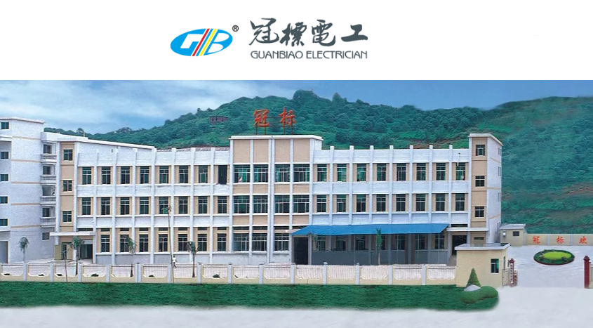 冠标电工携手2025沙特电力展展览会